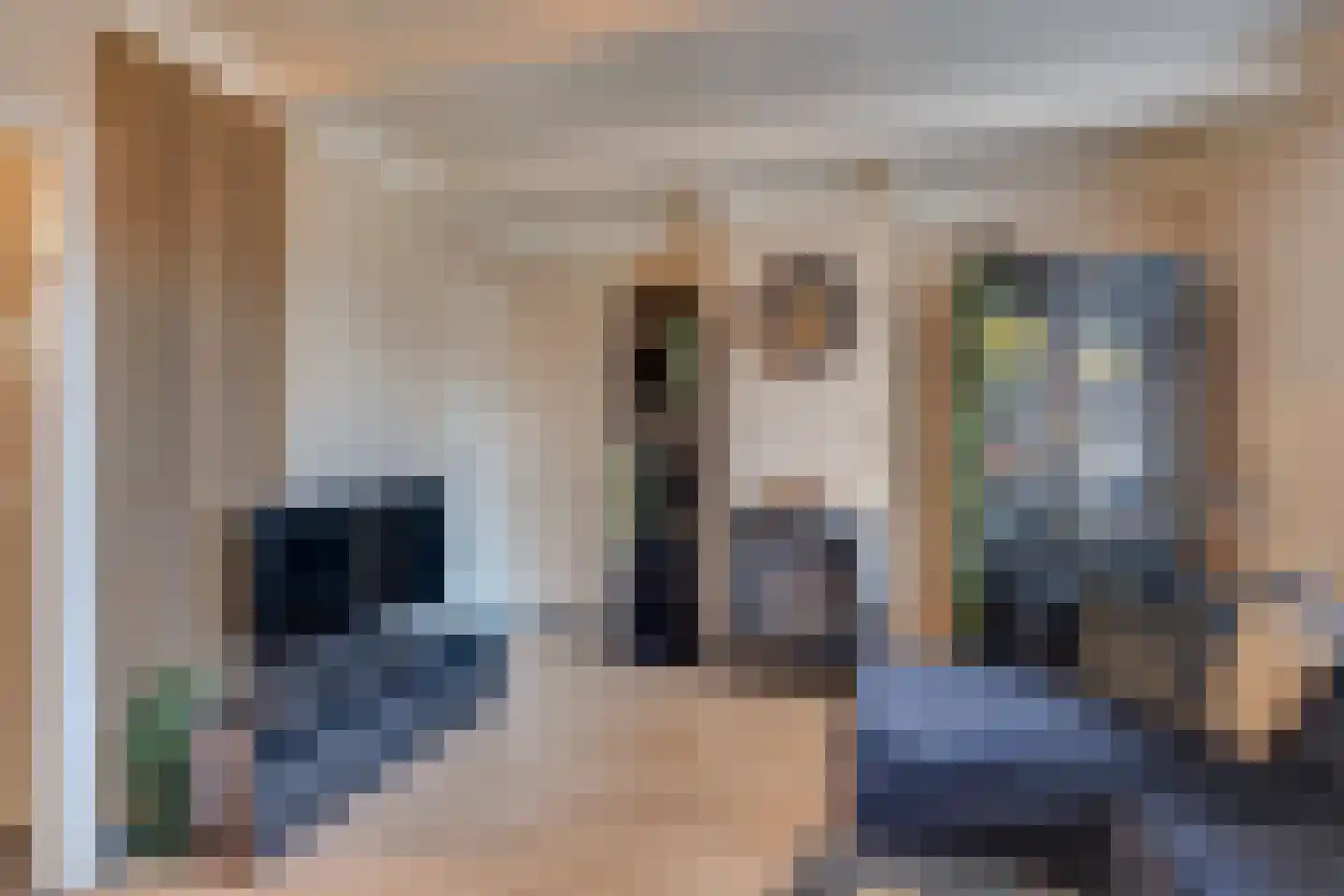 Noordstraat 5 Kamperland thumbnail 8