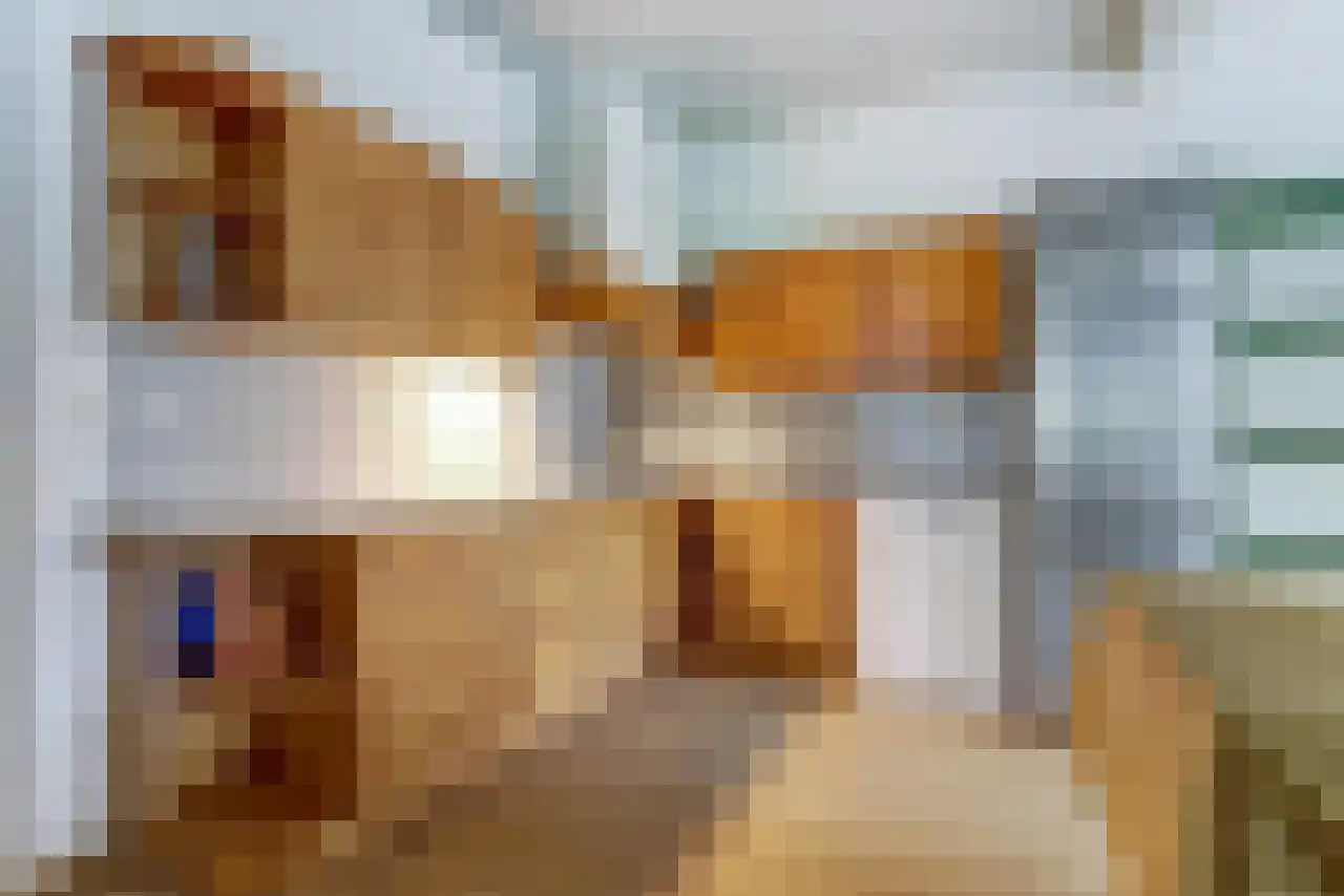 Noordstraat 51 Landhorst thumbnail 11