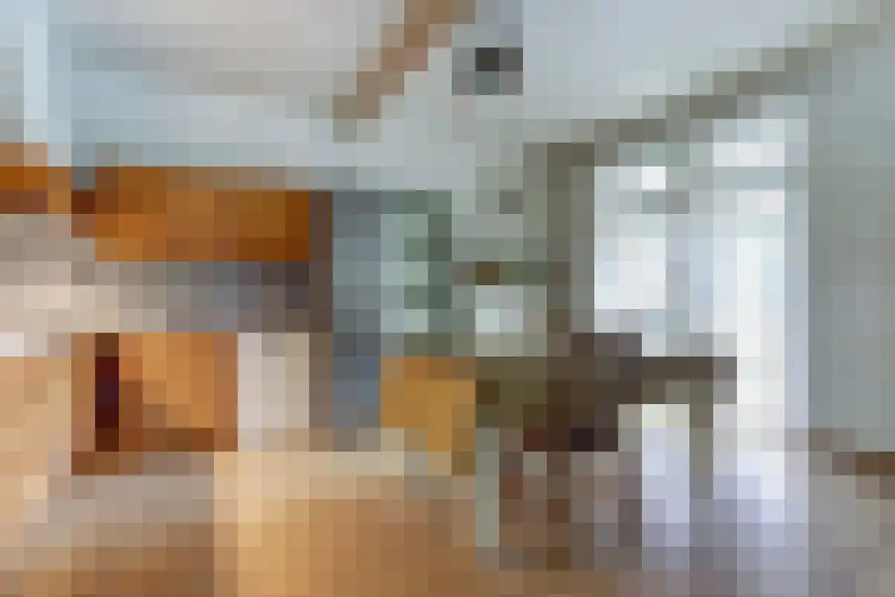 Noordstraat 51 Landhorst thumbnail 12