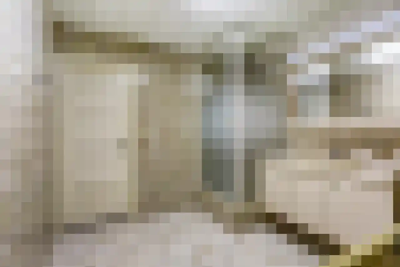 Noordstraat 51 Landhorst thumbnail 17