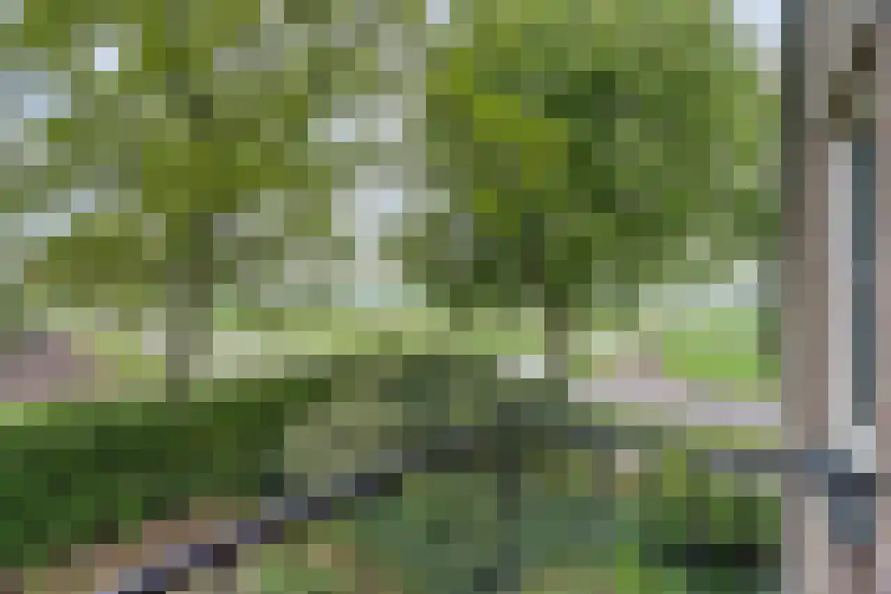 Noordstraat 51 Landhorst thumbnail 22