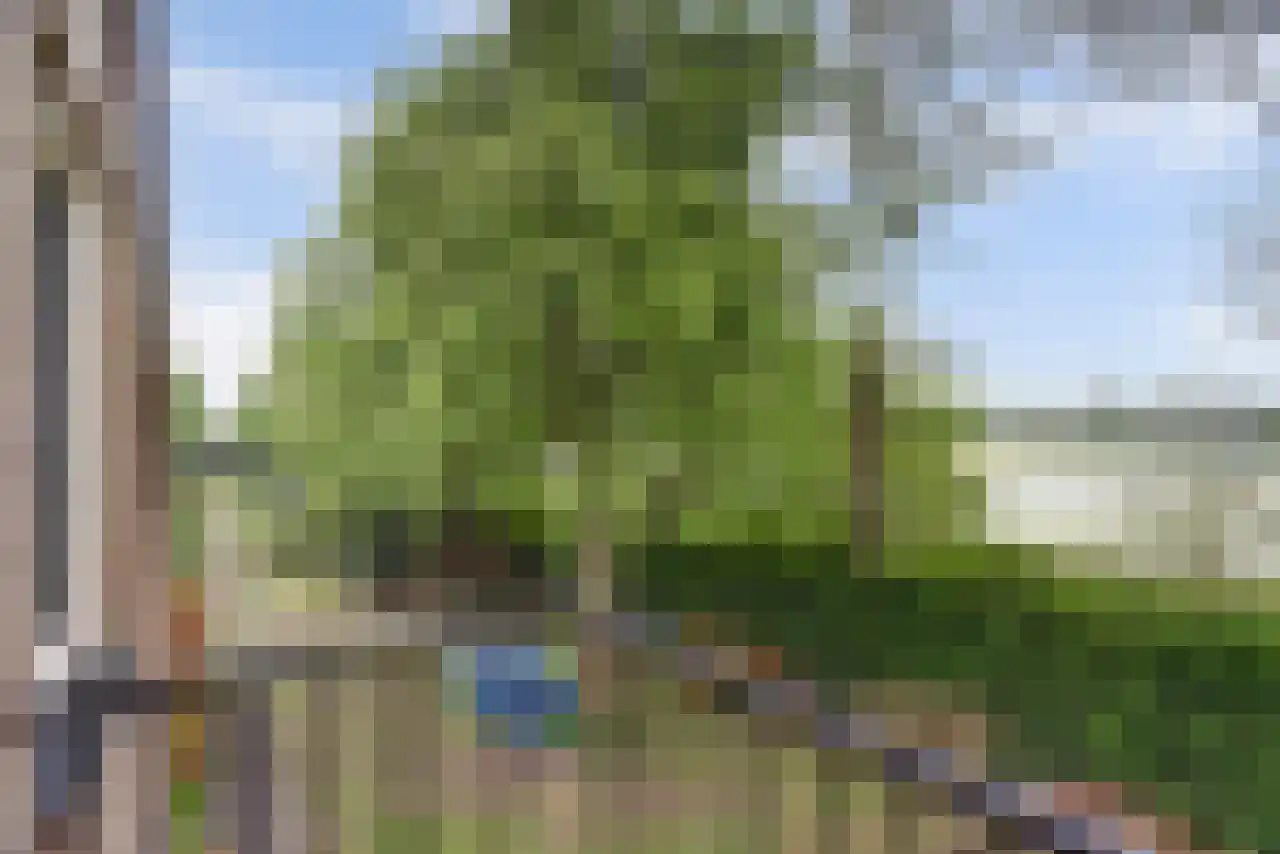 Noordstraat 51 Landhorst thumbnail 23