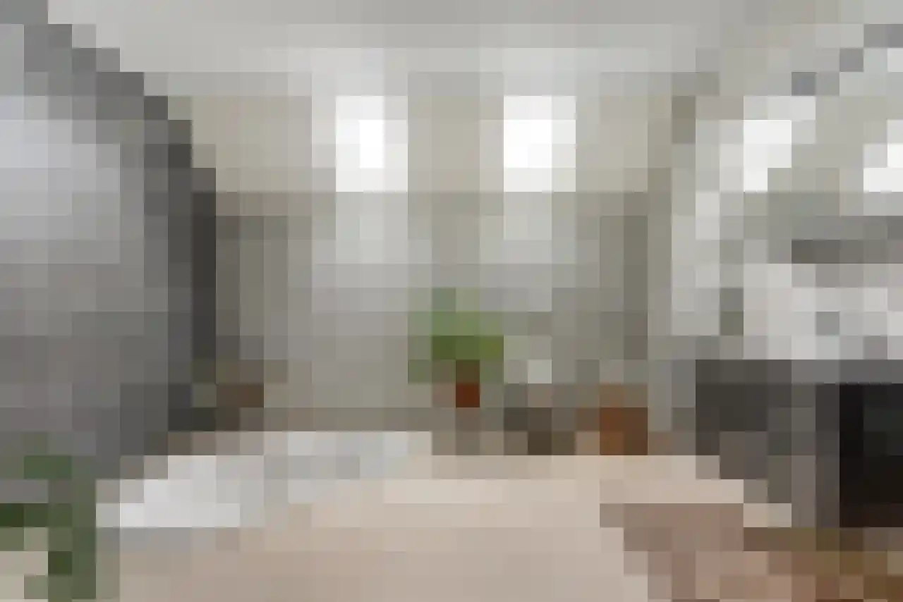 Noordstraat 51 Landhorst thumbnail 26