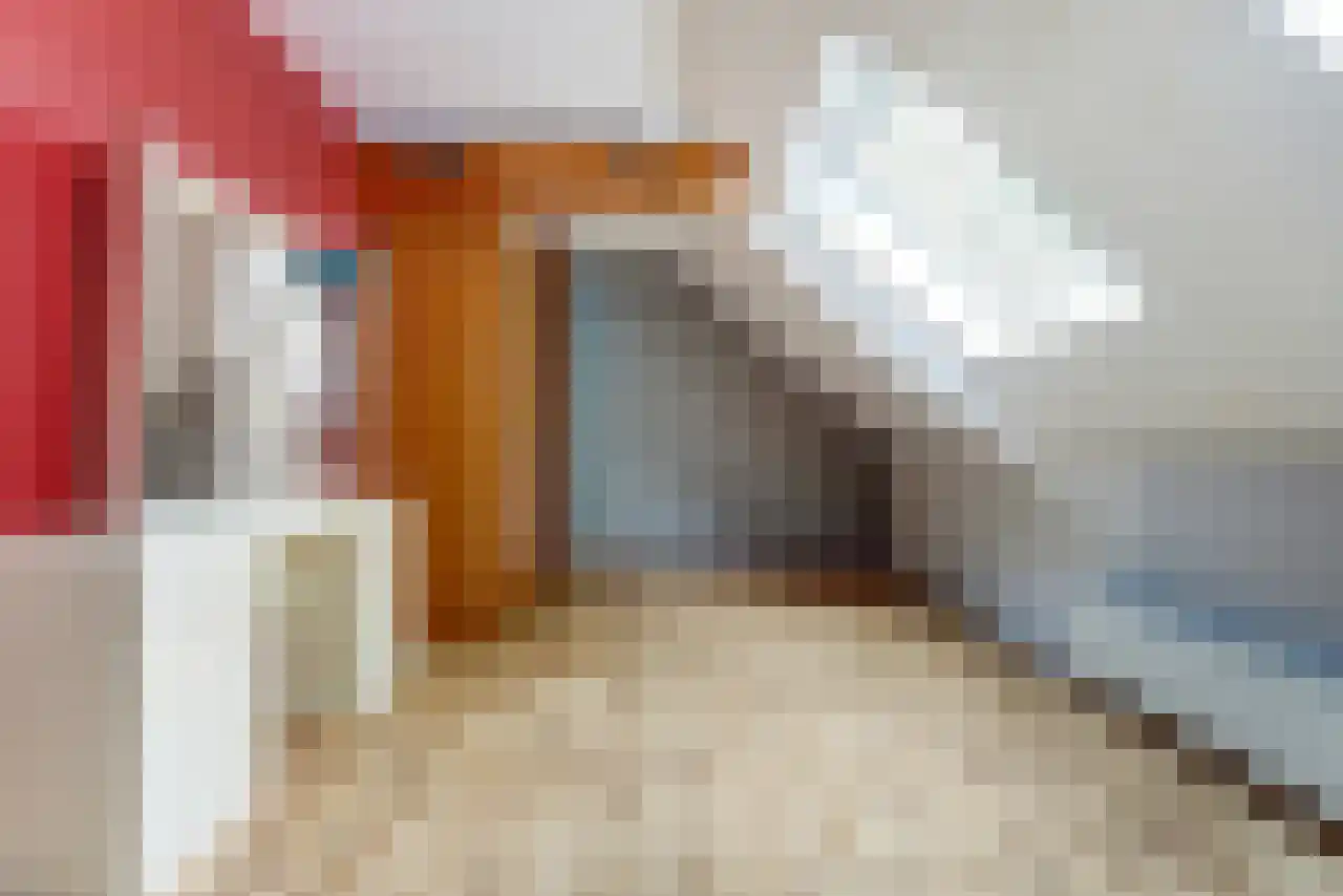 Noordstraat 51 Landhorst thumbnail 27