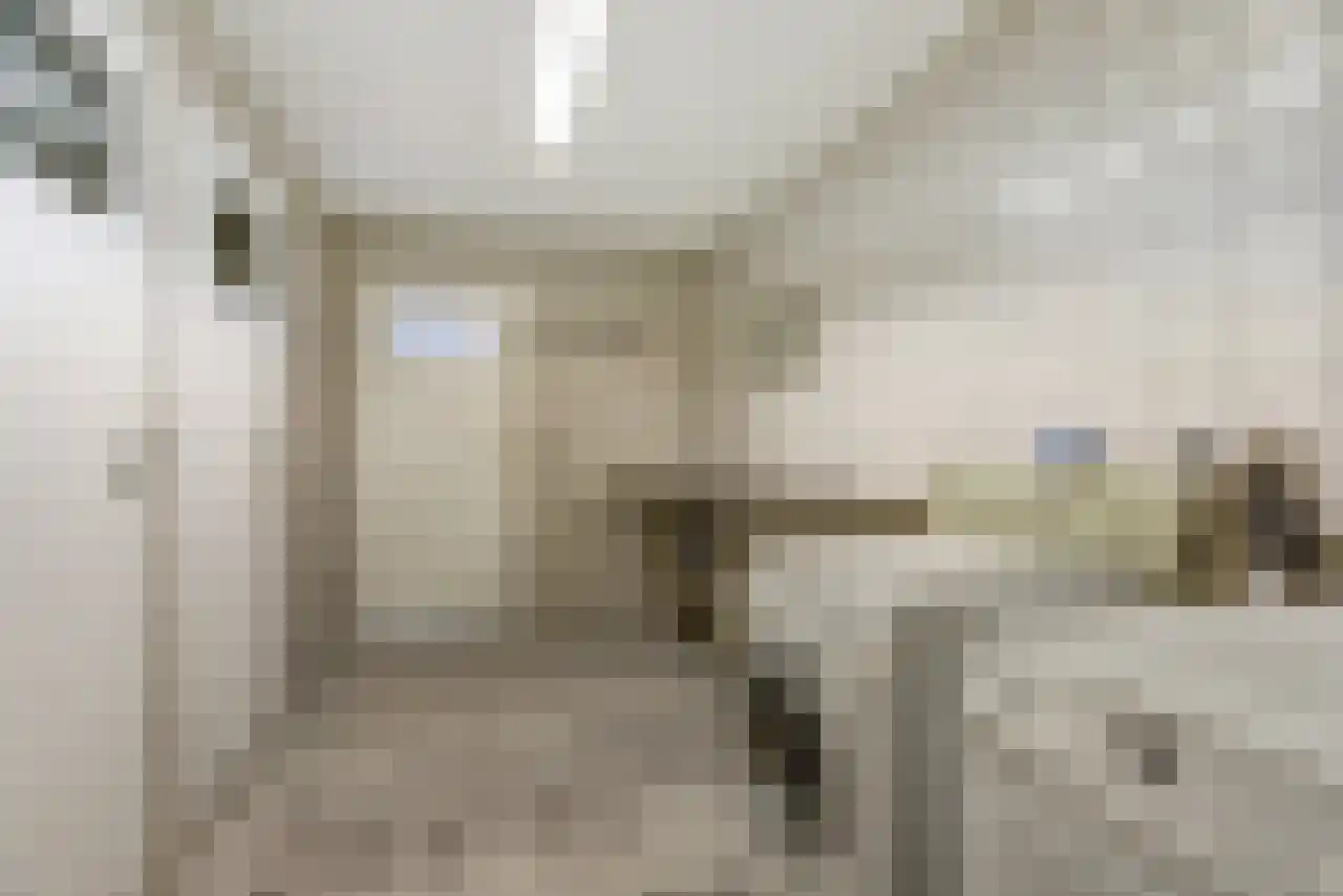 Noordstraat 51 Landhorst thumbnail 36