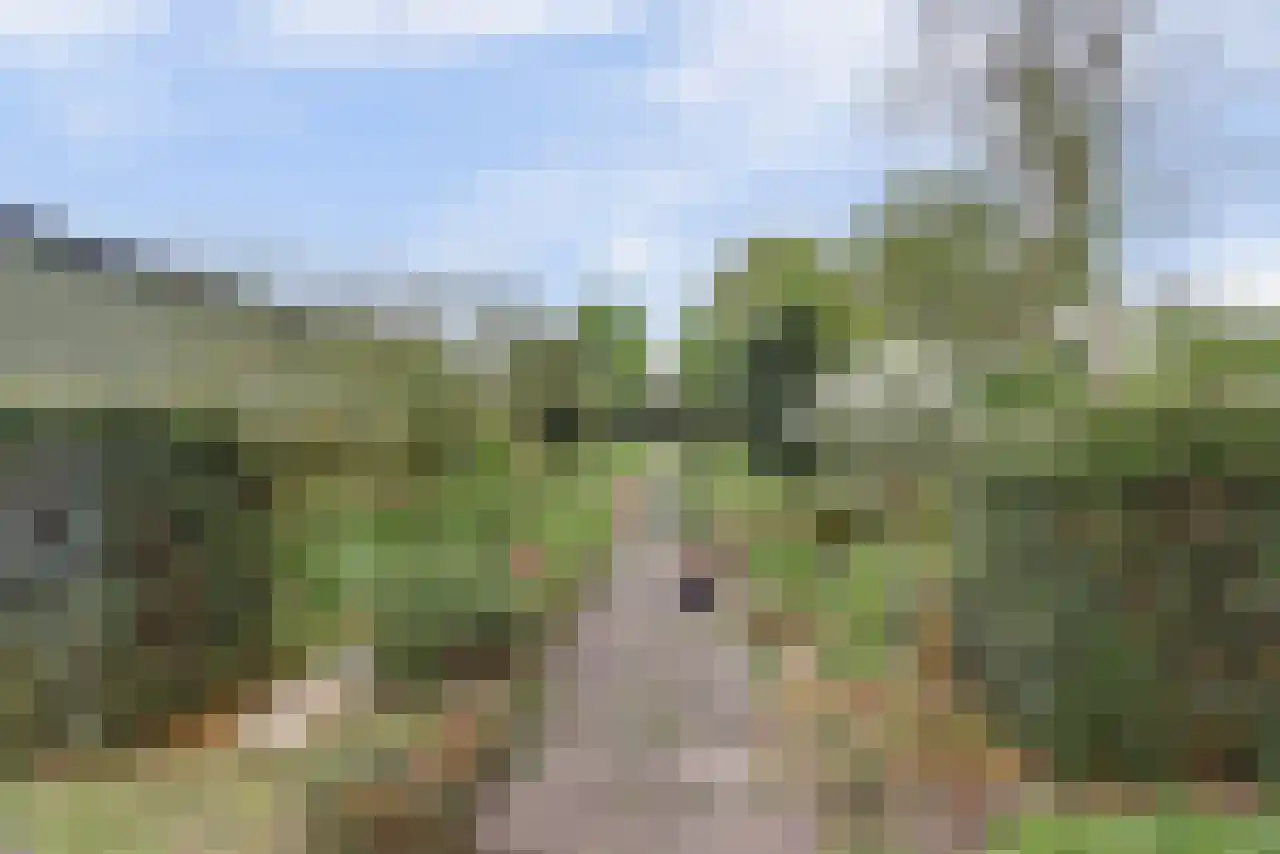 Noordstraat 51 Landhorst thumbnail 43