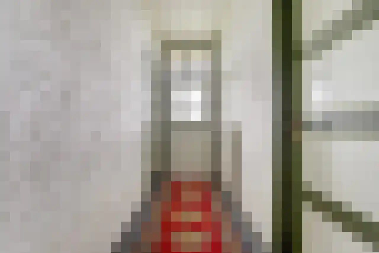 Noordstraat 51 Landhorst thumbnail 5