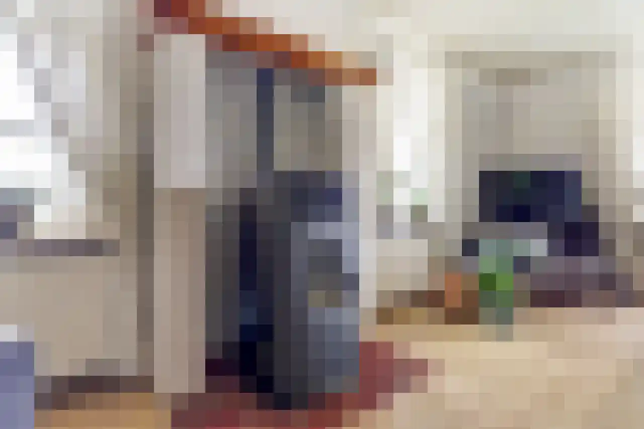 Noordstraat 51 Landhorst thumbnail 8
