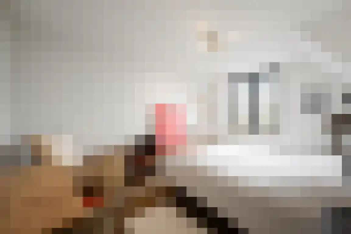 Noordstraat 54 A Retranchement thumbnail 14