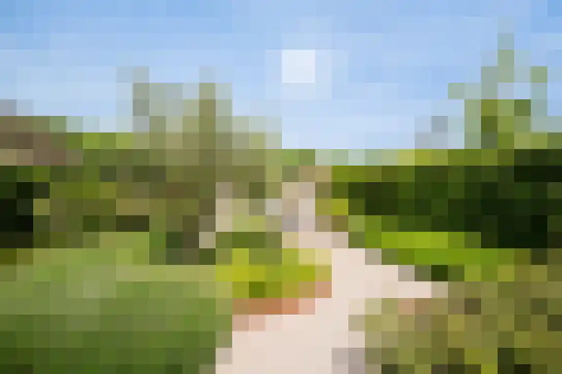 Noordstraat 54 A Retranchement thumbnail 25