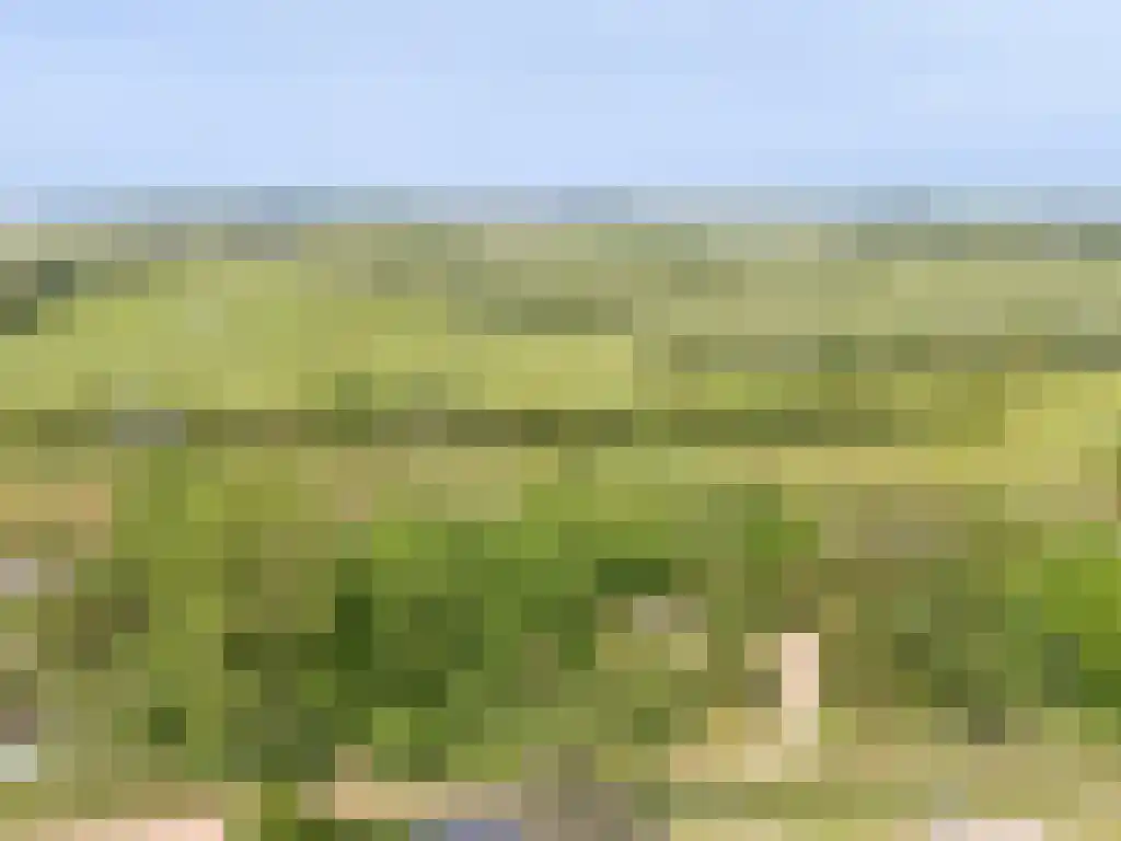 Noordstraat 54 A Retranchement thumbnail 4