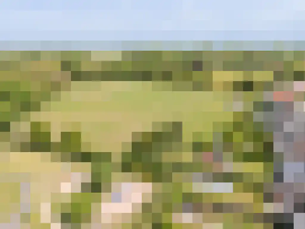 Noordstraat 54 A Retranchement thumbnail 5