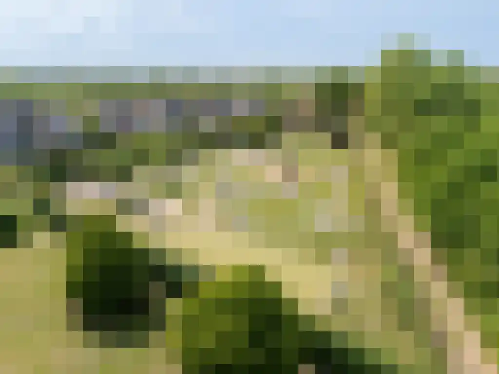 Noordstraat 54 A Retranchement thumbnail 6