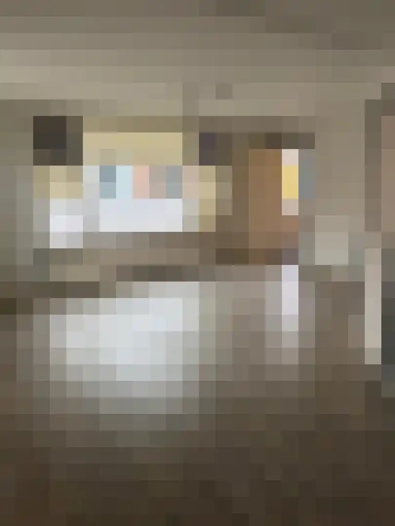 Noordstraat 58 Westkapelle thumbnail 6