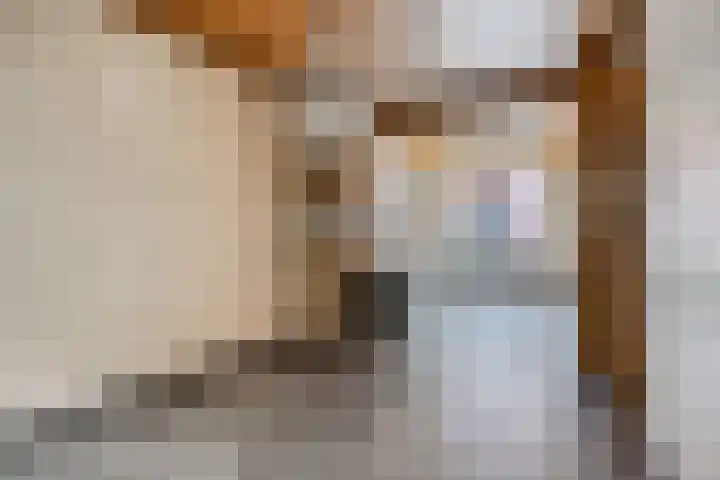 Noordstraat 59 Tilburg thumbnail 10