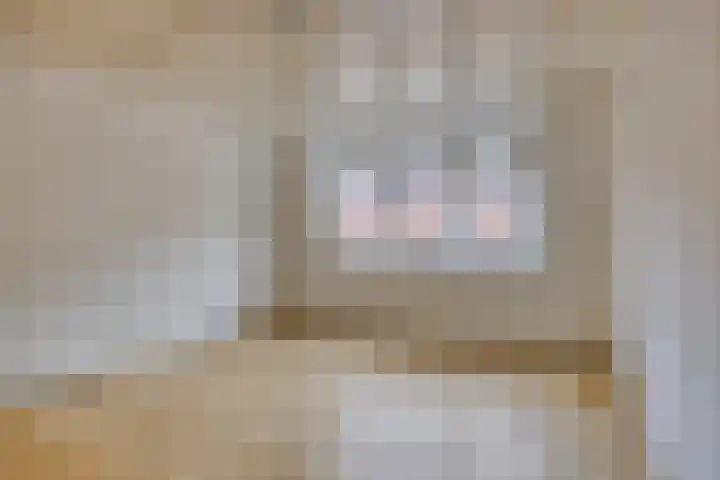 Noordstraat 59 Tilburg thumbnail 33