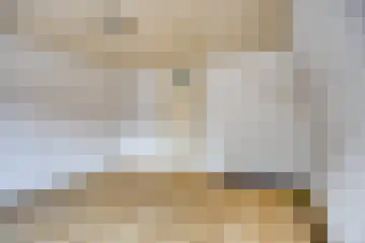 Noordstraat 59 Tilburg thumbnail 34