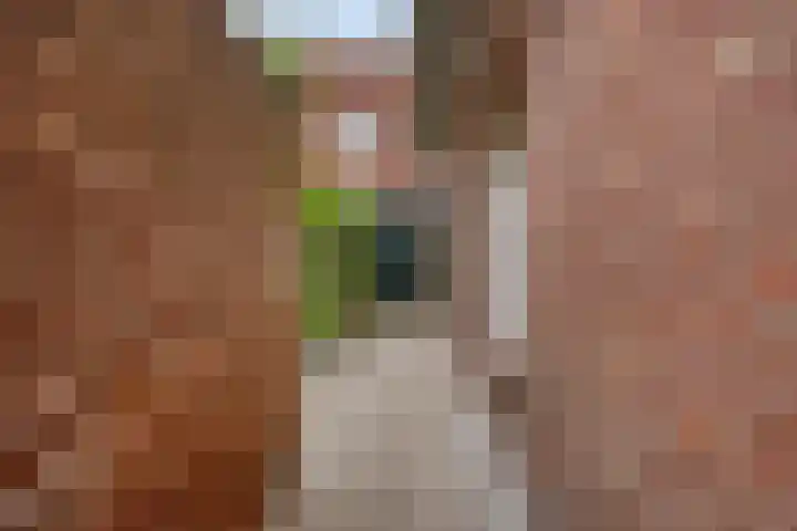 Noordstraat 59 Tilburg thumbnail 37