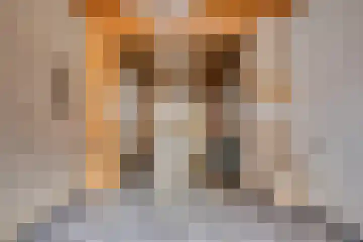Noordstraat 59 Tilburg thumbnail 6