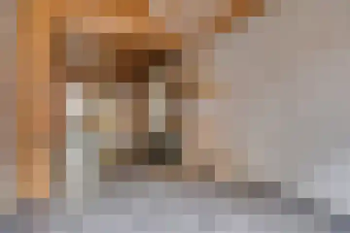Noordstraat 59 Tilburg thumbnail 8