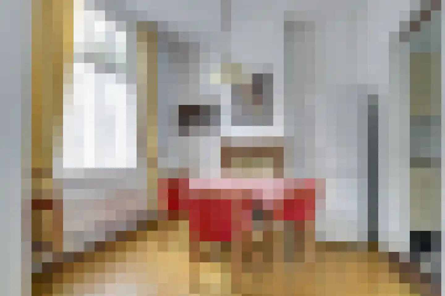 Noordstraat 7 Domburg thumbnail 12
