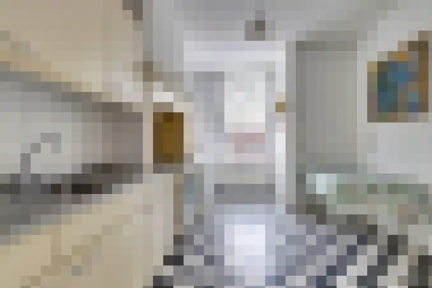 Noordstraat 7 Domburg thumbnail 13