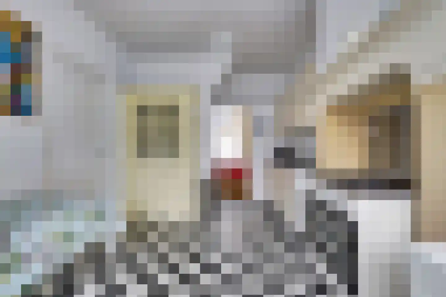 Noordstraat 7 Domburg thumbnail 14