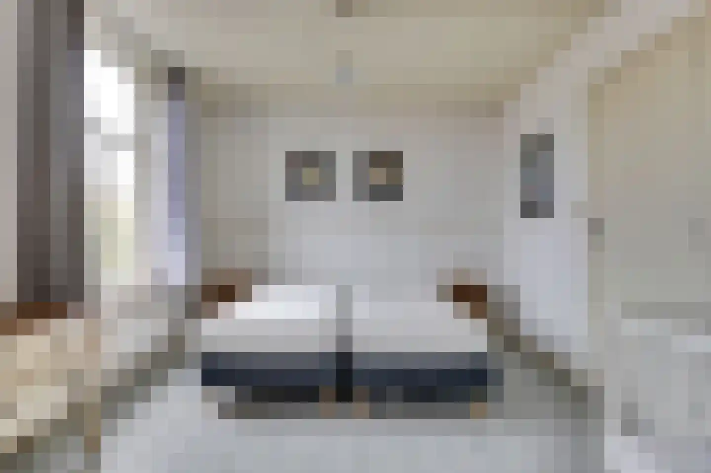 Noordstraat 7 Domburg thumbnail 18