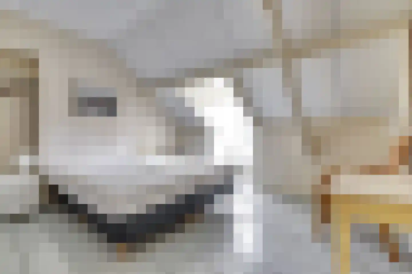 Noordstraat 7 Domburg thumbnail 26