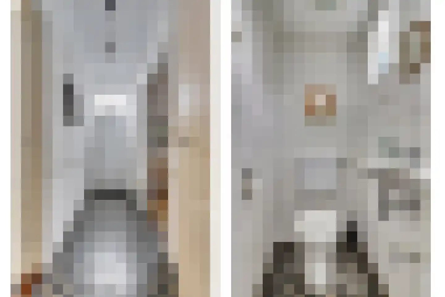 Noordstraat 7 Domburg thumbnail 5