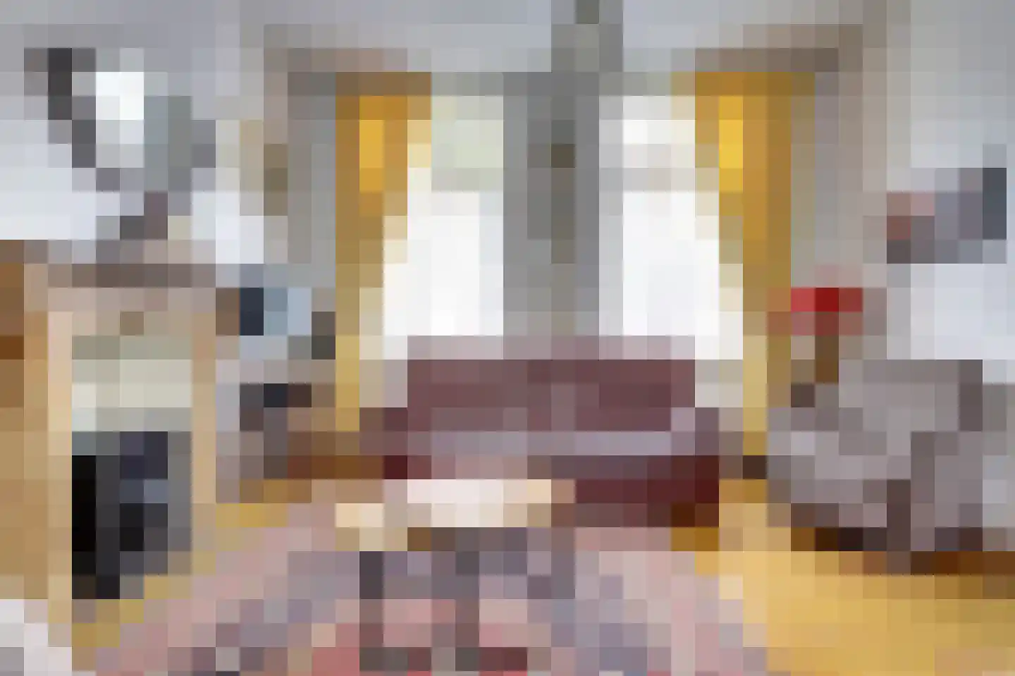 Noordstraat 7 Domburg thumbnail 8