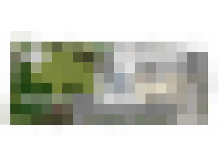 Noordstraat 7 Sint-Annaland thumbnail 18
