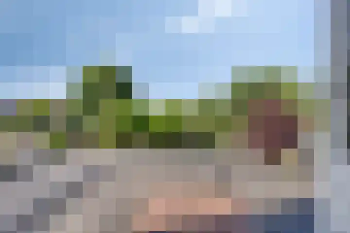 Noordstraat 7 Sint-Annaland thumbnail 24