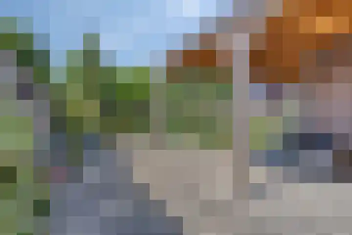 Noordstraat 7 Sint-Annaland thumbnail 30