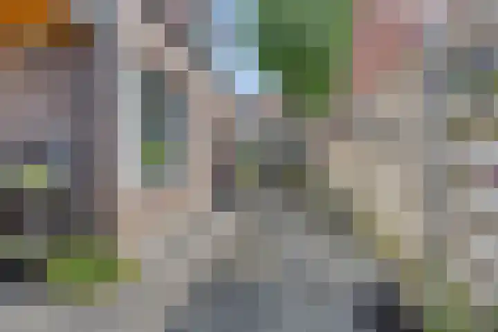 Noordstraat 7 Sint-Annaland thumbnail 31