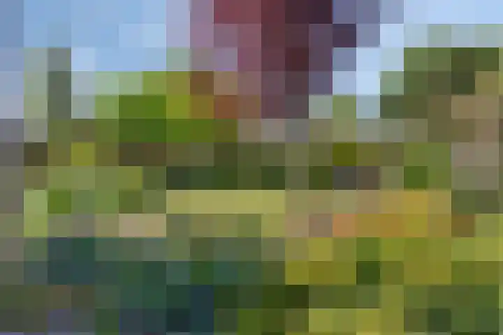 Noordstraat 7 Sint-Annaland thumbnail 33