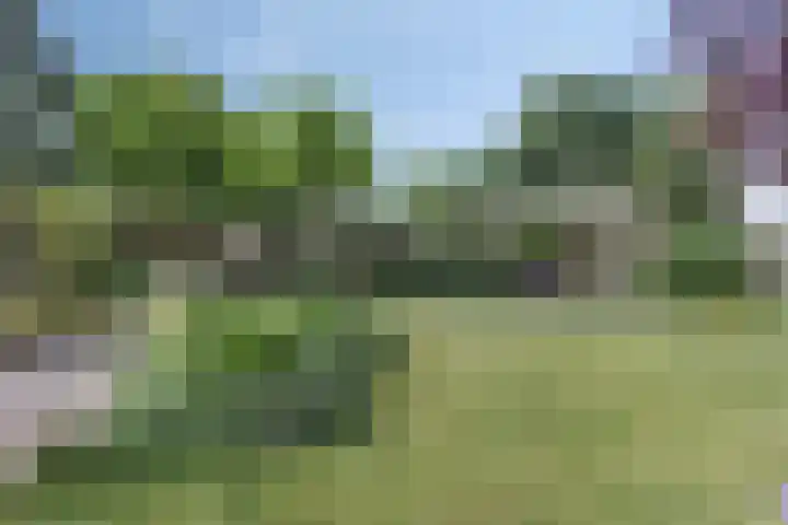 Noordstraat 7 Sint-Annaland thumbnail 37