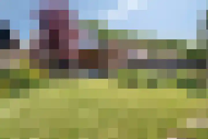 Noordstraat 7 Sint-Annaland thumbnail 38