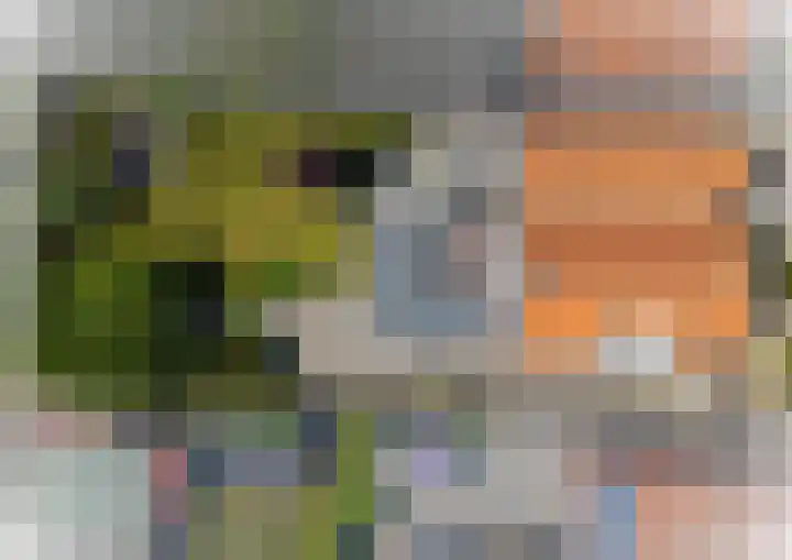 Noordstraat 7 Sint-Annaland thumbnail 40