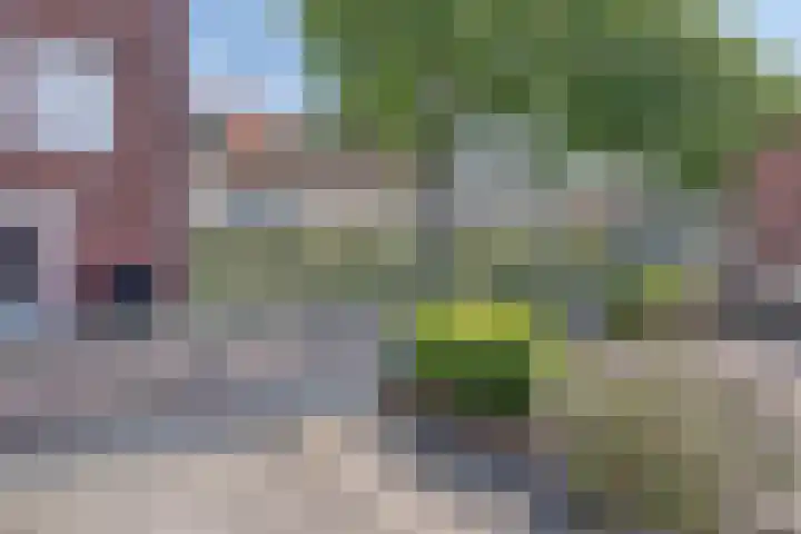 Noordstraat 7 Sint-Annaland thumbnail 45