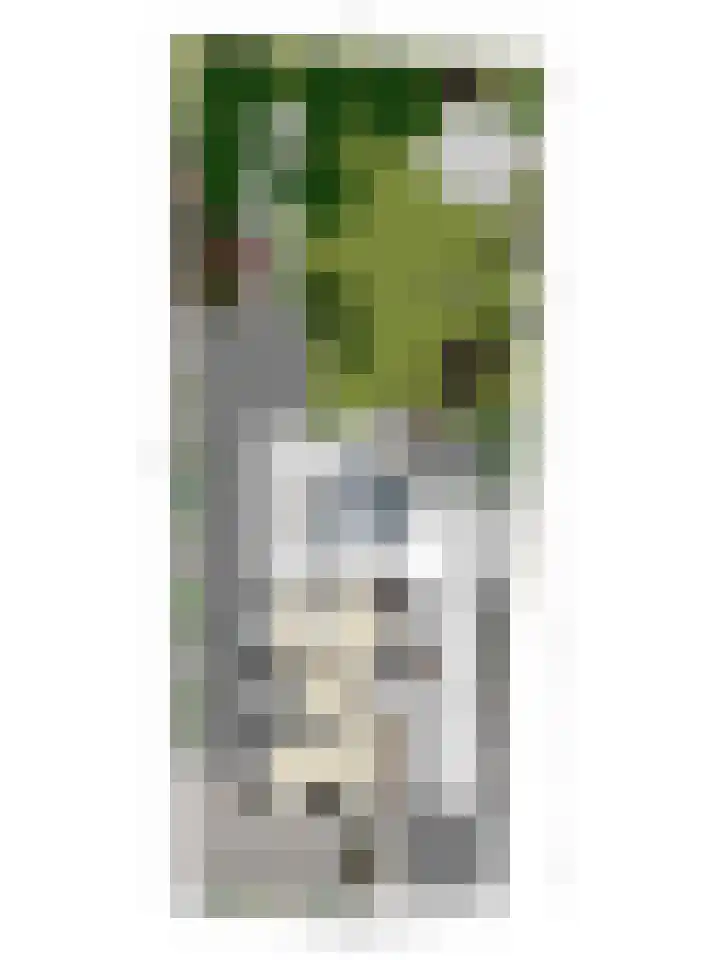 Noordstraat 7 Sint-Annaland thumbnail 50
