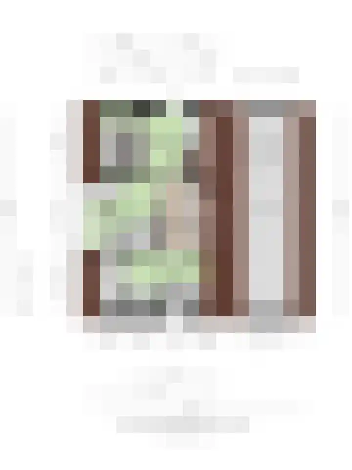 Noordstraat 7 Sint-Annaland thumbnail 51