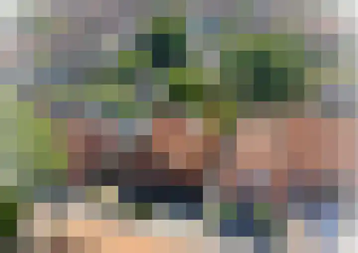 Noordstraat 7 Sint-Annaland thumbnail 52
