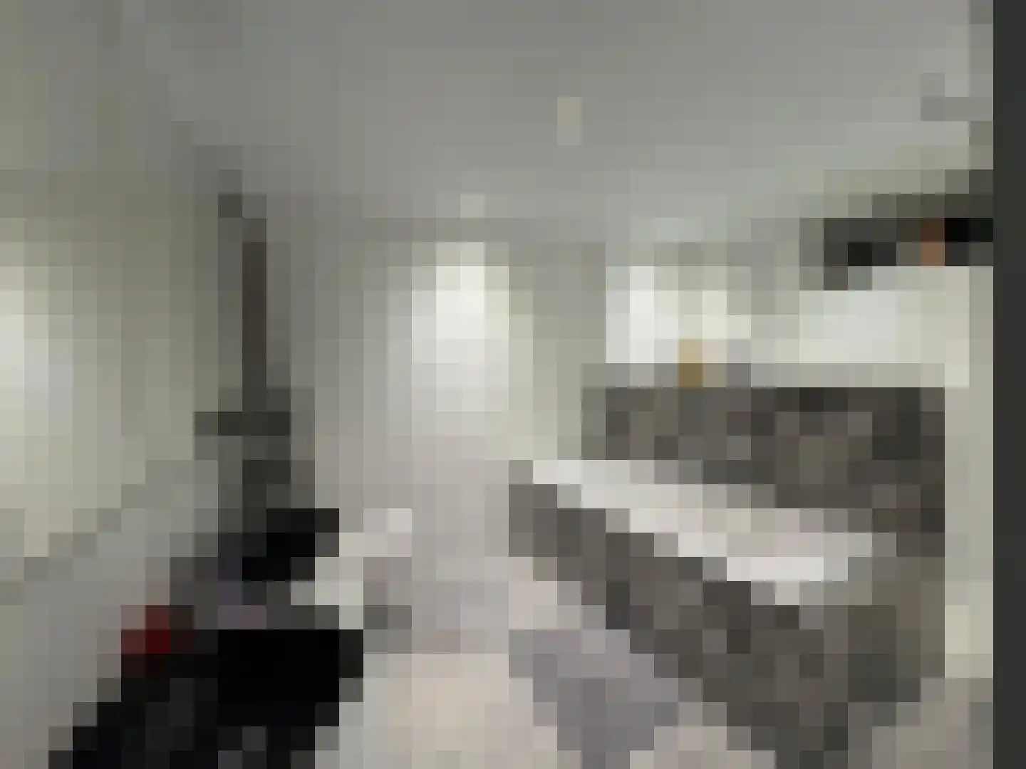 Noordstraat 9 Biervliet thumbnail 6
