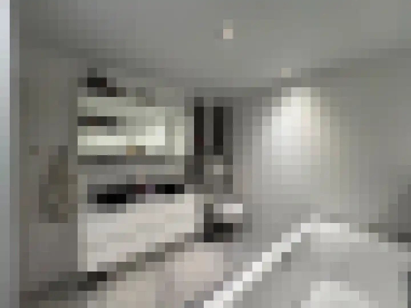 Noordstraat 9 Biervliet thumbnail 7