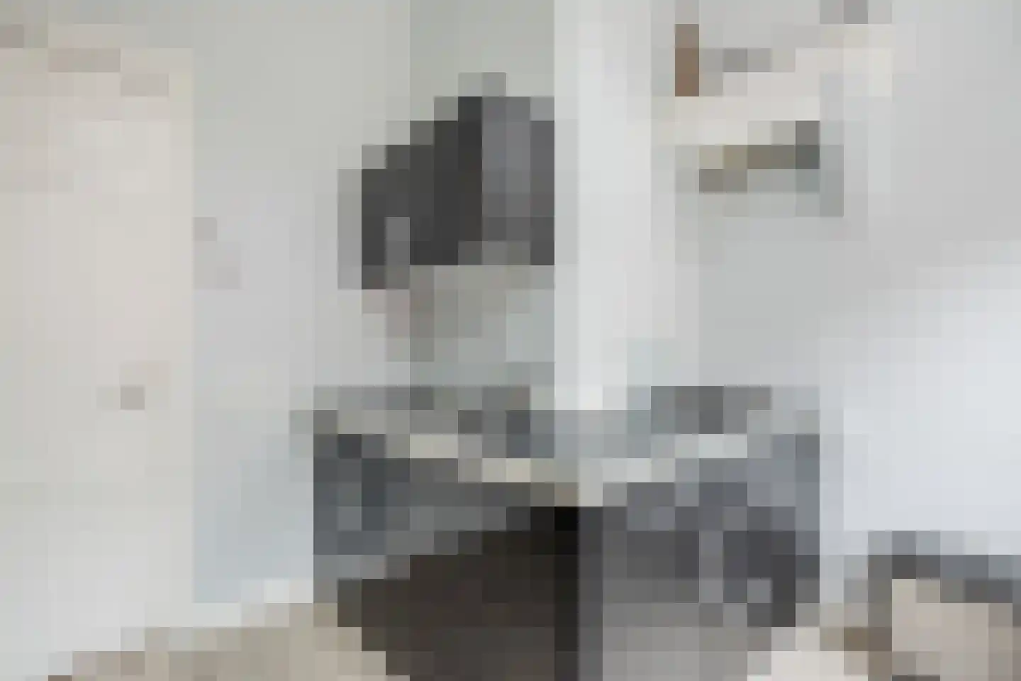 Noordstraat 96 a Tilburg thumbnail 21
