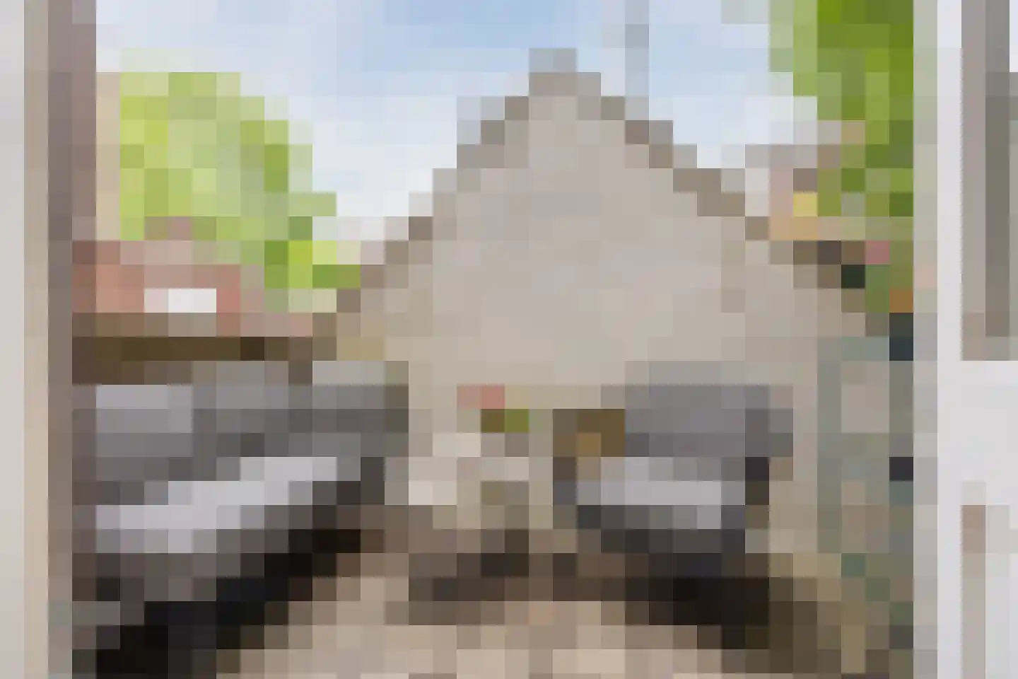 Noordstraat 96 a Tilburg thumbnail 43