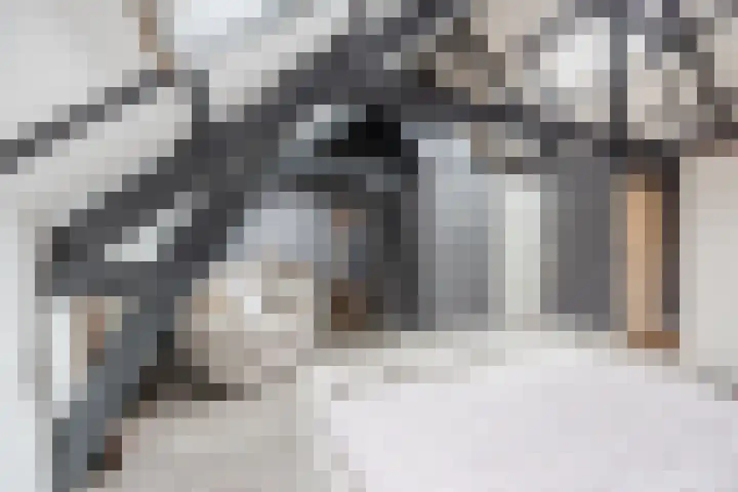 Noordstraat 96 a Tilburg thumbnail 5