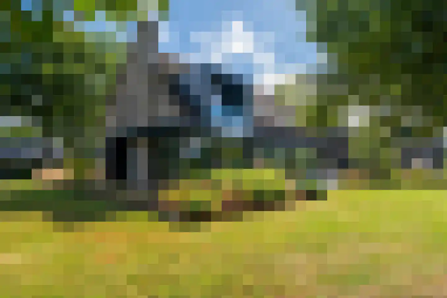 Noordstukkendrift 2 Bunne thumbnail 10