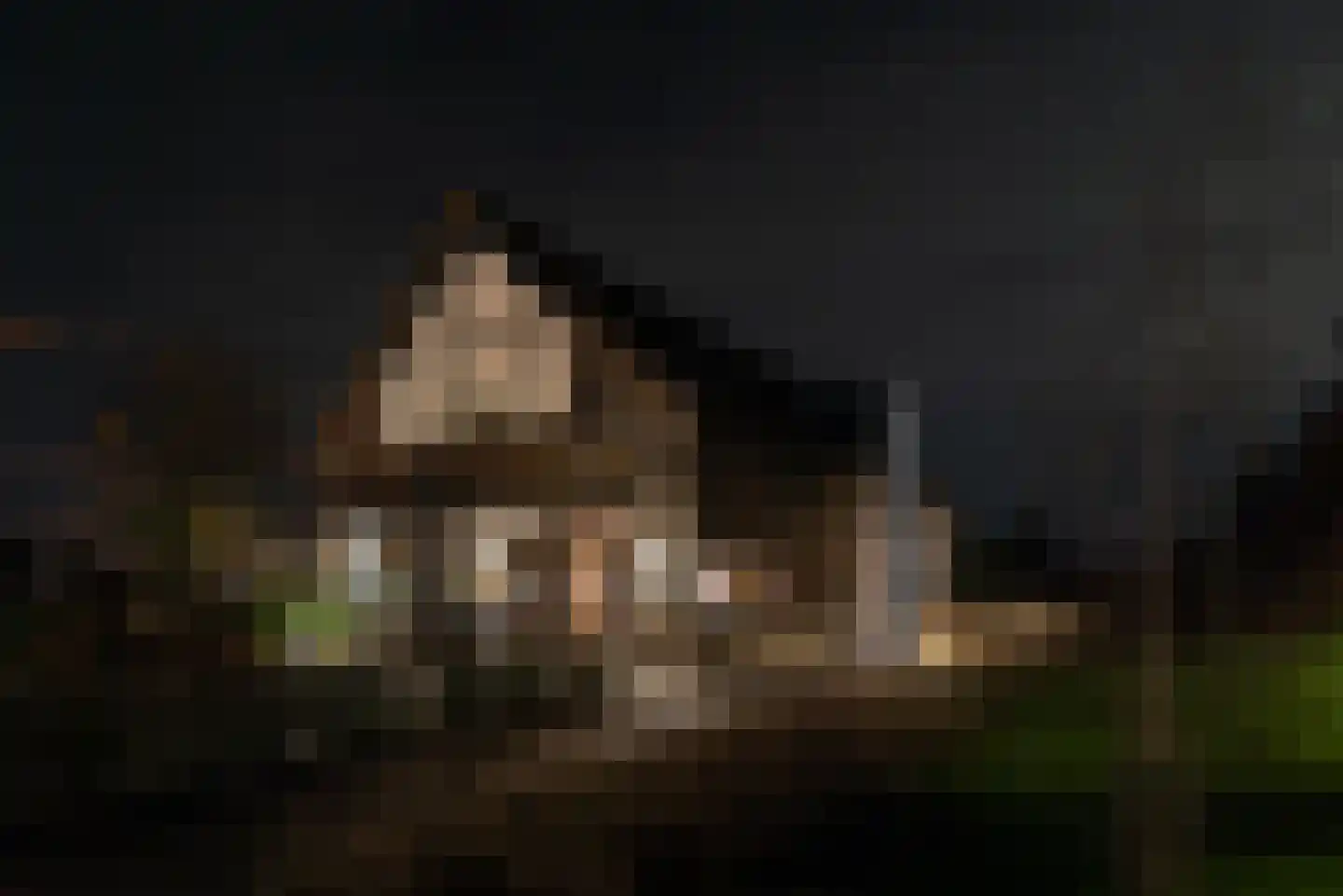 Noordstukkendrift 2 Bunne thumbnail 10